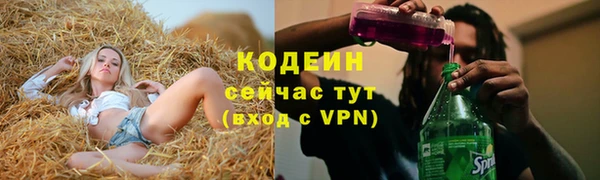 тгк Абаза