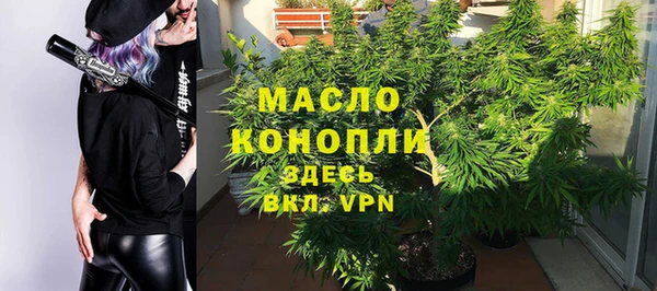 тгк Абаза