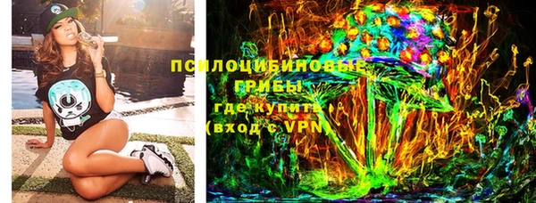 тгк Абаза