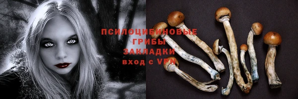 соль ск Абдулино