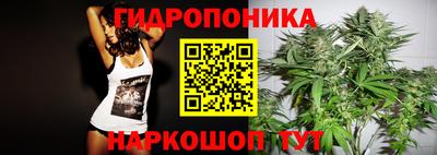 СК Обнинск