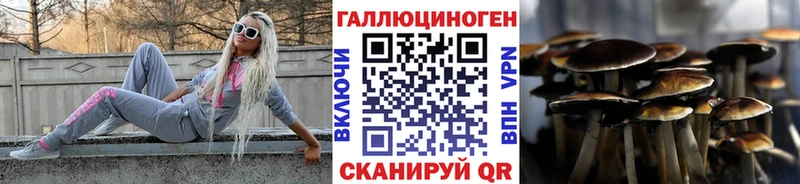 МЕГА   где продают   Североморск  Галлюциногенные грибы Psilocybe 