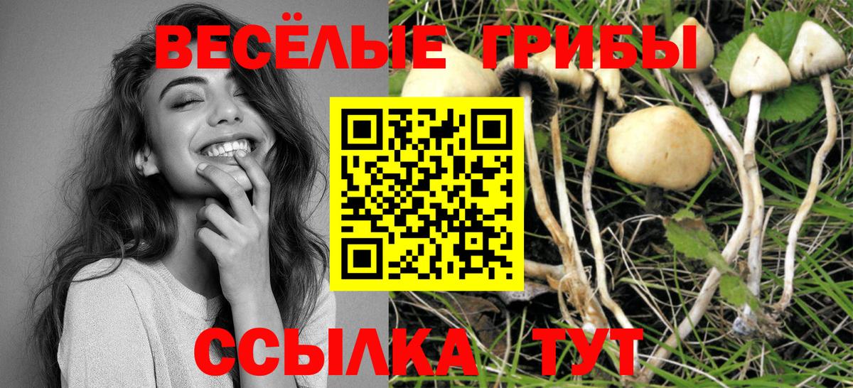 Галлюциногенные грибы Psilocybe  Галлюциногенные грибы Psilocybine cubensis  Вход с VPN  купить   Североморск 