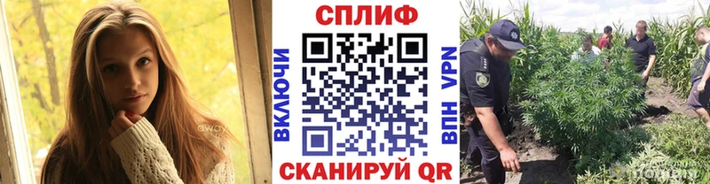 Каннабис VHQ  наркотики  Североморск 